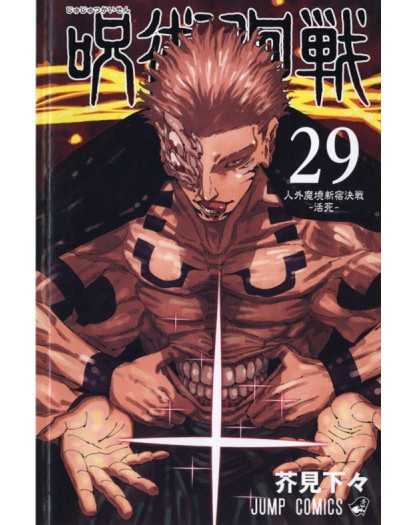 JUJUTSU KAISEN SORCERY FIGHT 29