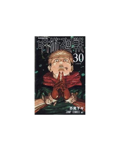 JUJUTSU KAISEN SORCERY FIGHT 30